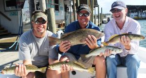Crystal River Trout &amp; Grouper...