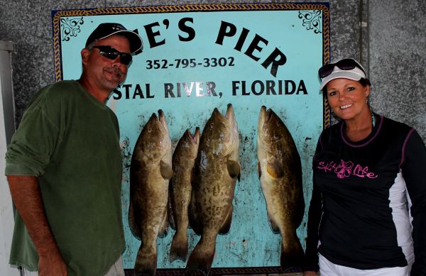 Crystal River Grouper before the Front...