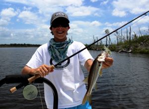 No Tarpon, but a snook on Fly...