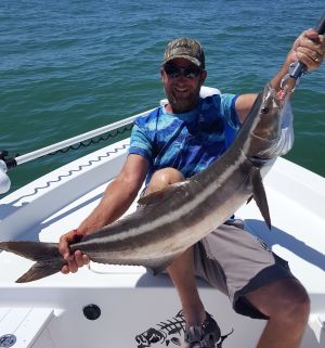 Crystal River Cobia...