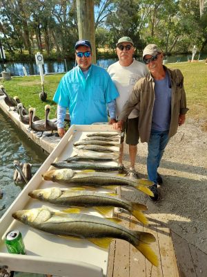Crystal River Snook &amp; Trout....