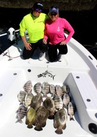 Crystal River Sheep's and Tripletail..