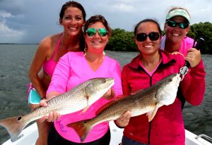 Crystal River Red Fish...