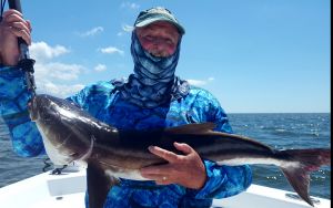Cobia on the Board...