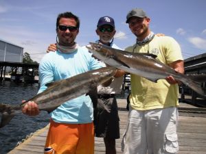 Crystal River Offshore Cobia...