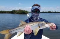 Crystal River Trout & Snook....
