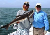 Offshore Cobia, Grunts & Trout...