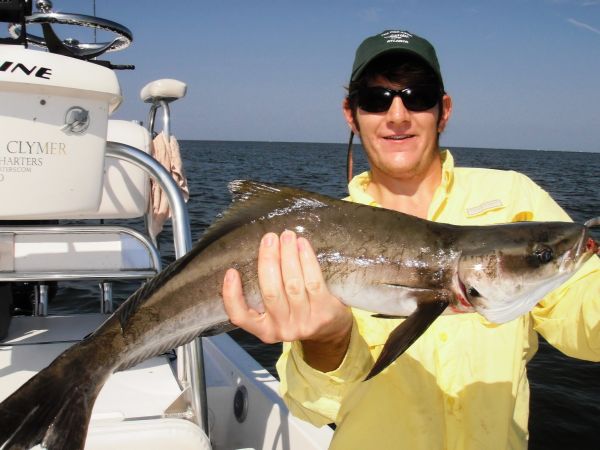 Homosassa Trout, Reds and a Cobia Surprise...