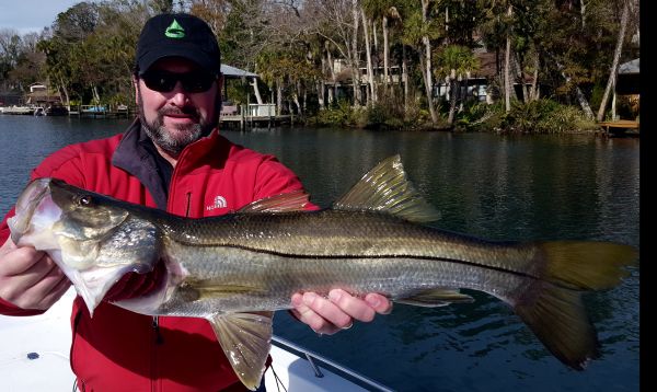 Icy Snook....
