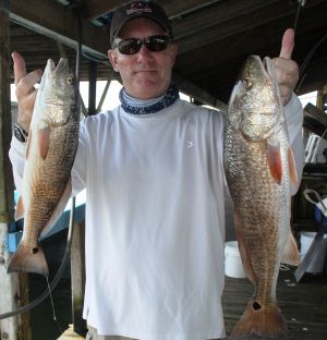 Crystal River Reds....