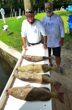 Crystal River Good Groupers....