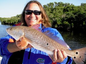 Crystal River Cold Front Reds...